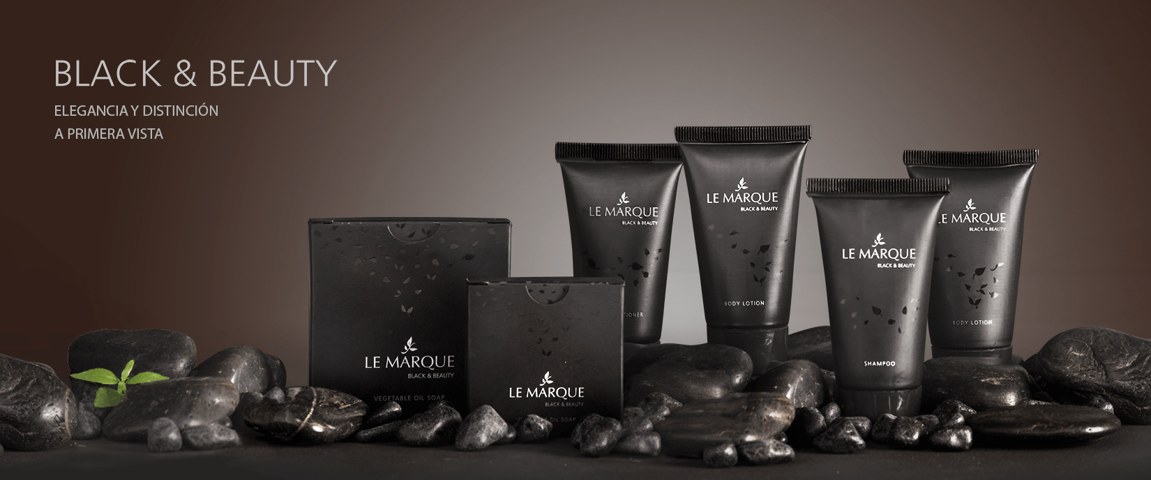 blackandbeauty